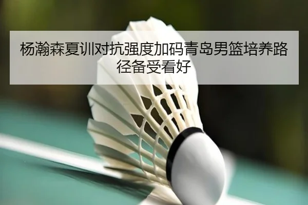 杨瀚森夏训对抗强度加码青岛男篮培养路径备受看好